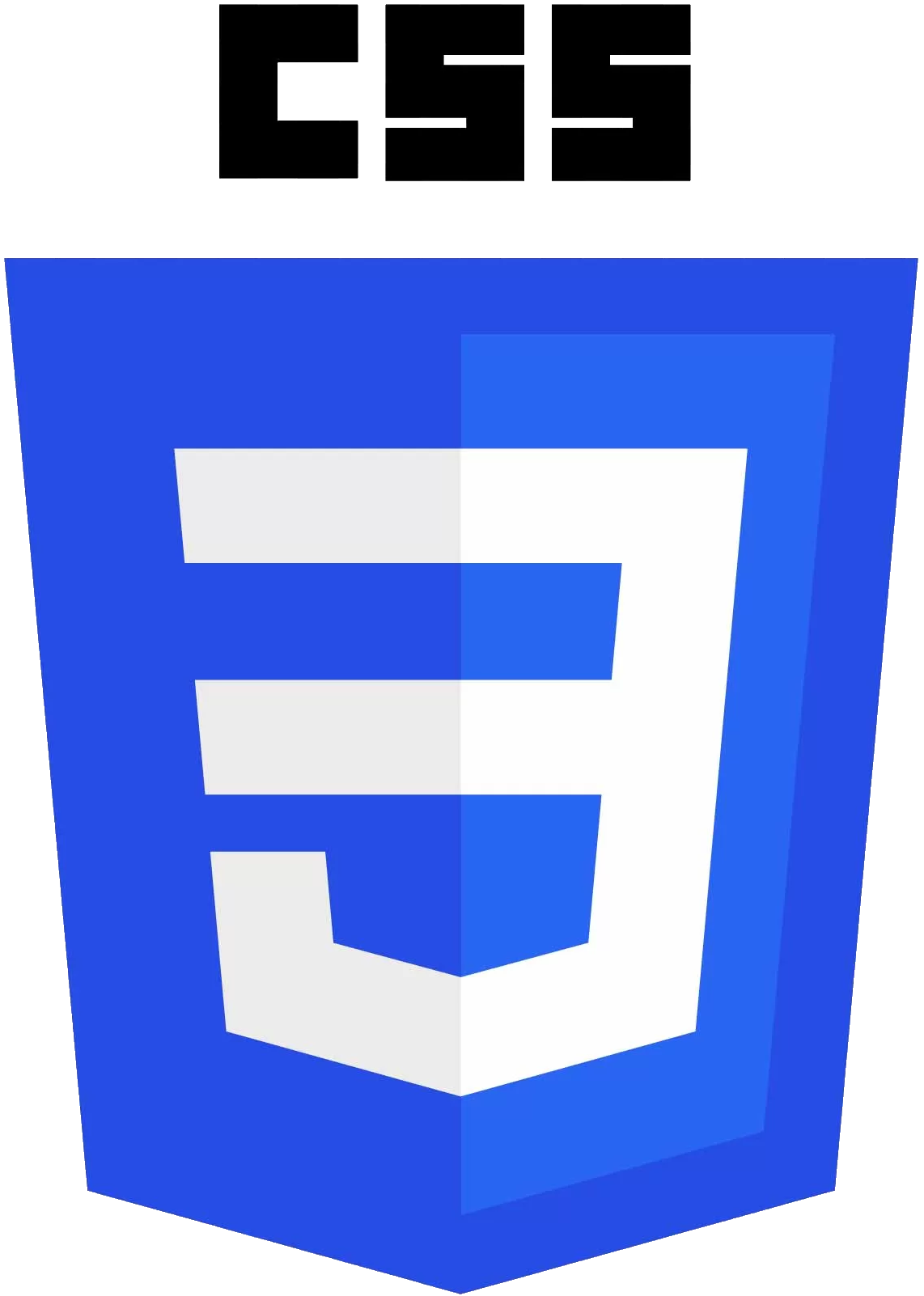 Logo CSS3 : agence web spécialiste en design, effets et animations CSS3